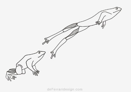 illustration of jumping frog for science book